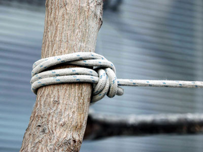 Ανακάλυψη σοκ